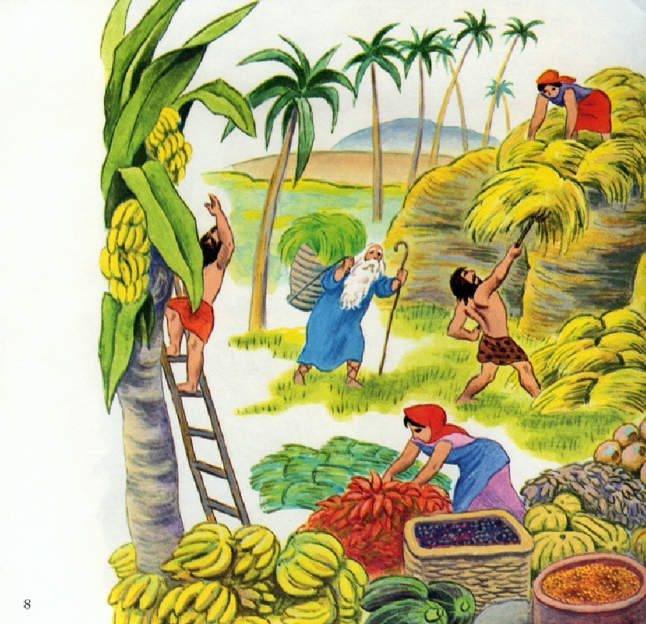 Noah's Ark (10),绘本,绘本故事,绘本阅读,故事书,童书,图画书,课外阅读